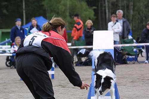 Cosmo keinulla.