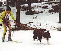 Joni ja Tino vauhdissa, kuva K. Helminen.