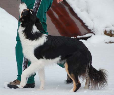 kuva Elina Niemi