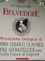 Numa Chiantin viinitilan mainoksessa:).