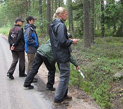 Seuraamassa janatyskentely.