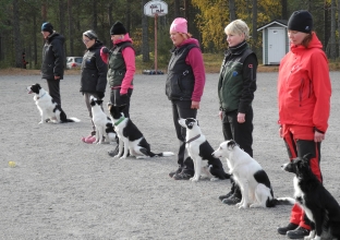 paikalla istuminen ryhmss.