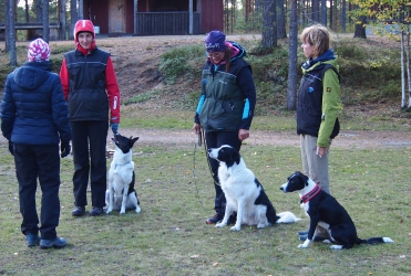 Pk ilmoittautuminen.