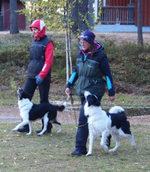 Ilmoittautuminen pk tottikseen.