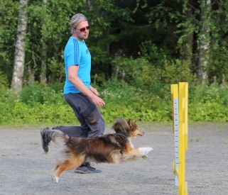 Pekka aksaamassa Vertin kanssa nytsluontoisesti :) .