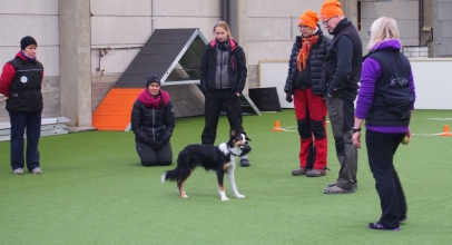 Heidi ja Super treenaavat.