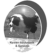 Koirien koulutuskurssit -tervetuloa kurssisivuille! Pivitetty 3.1.2021