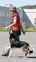 Hiski seuraa; kuva L. Salonen.