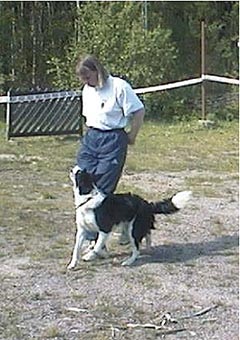 Matti ja Päivi