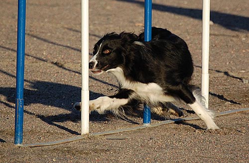 Kuva: Pete ja Oili Huotari