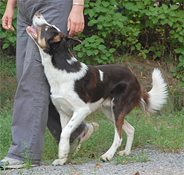 Njodi, kuva E. Niemi.