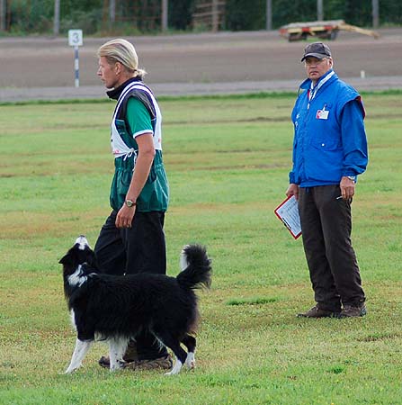 Pekka ja Nero.