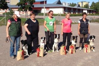 T-teamin piirin kultajoukkue, kuva Annika Tuikkanen.