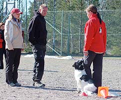 Kati & Rho Jonten opissa, Tesu tulkkaa.