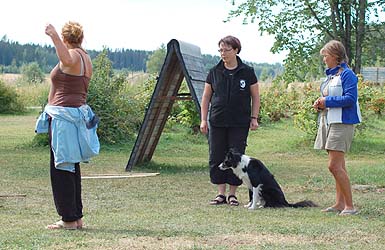 Treenit: Taina & Loitsu, Elisabet kouluttaa, Jessica tulkkaa.