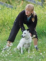 Saga koiratoton lähetyksessä.