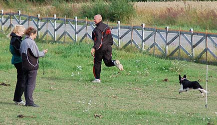 Koirien totojuoksu; Janne kiritt Tatzia.