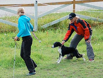 Koiratoto; Mari ja Rimma valmistautumassa.