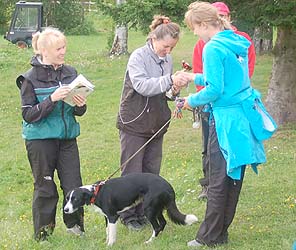 Palkintojenjako; T-leirin nopein bc-narttu Rimma.