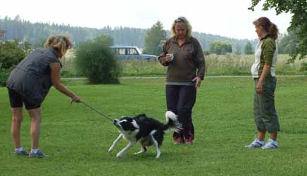 Treenit: Lentsu & ToTo, Elisabet kouluttaa, Jessica tulkkaa.